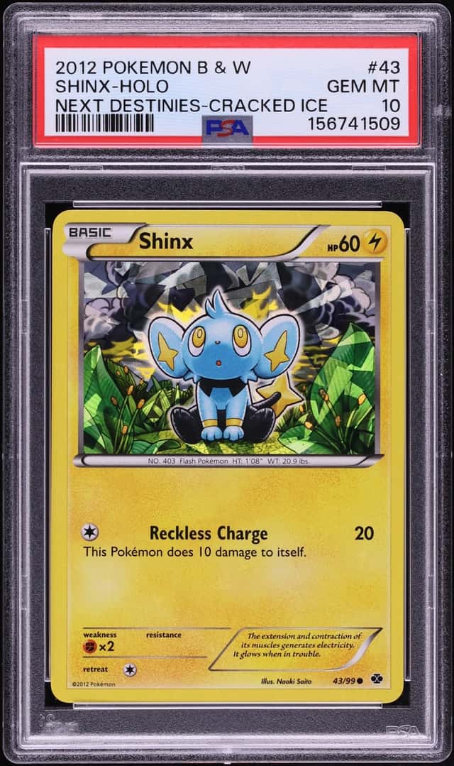 Shinx