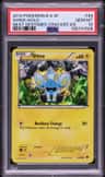 Shinx