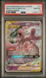 Mewtwo & Mew Gx