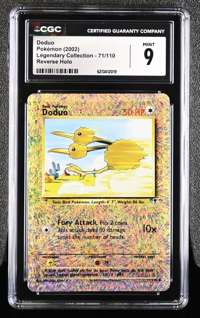 Doduo