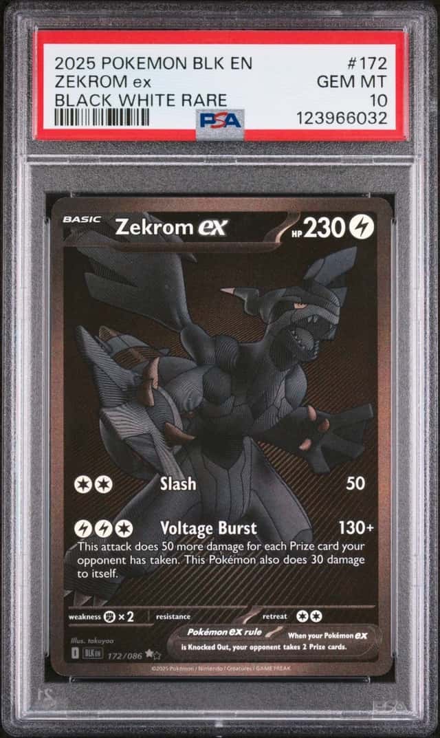 ZEKROM ex