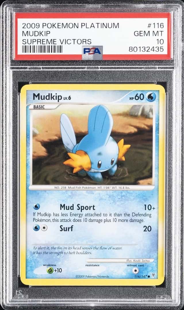 Mudkip