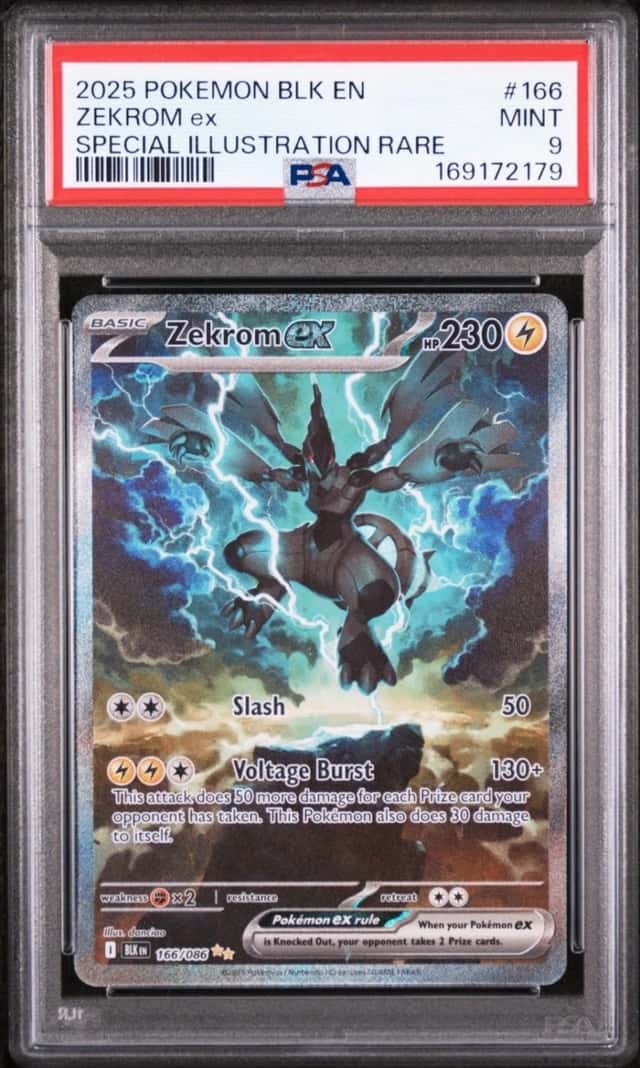 ZEKROM ex