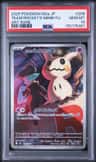 Team Rocket'S Mimikyu