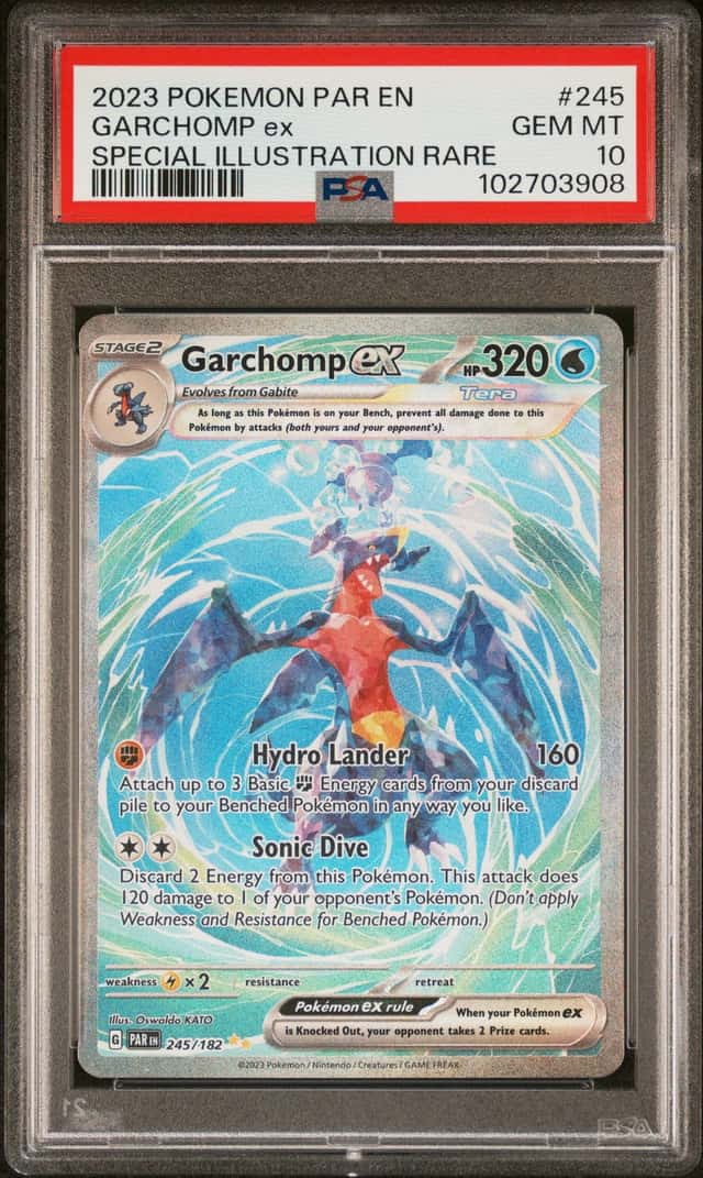 GARCHOMP ex