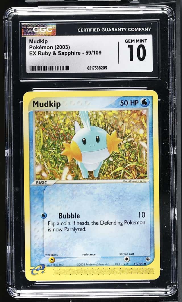 Mudkip