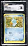 Mudkip