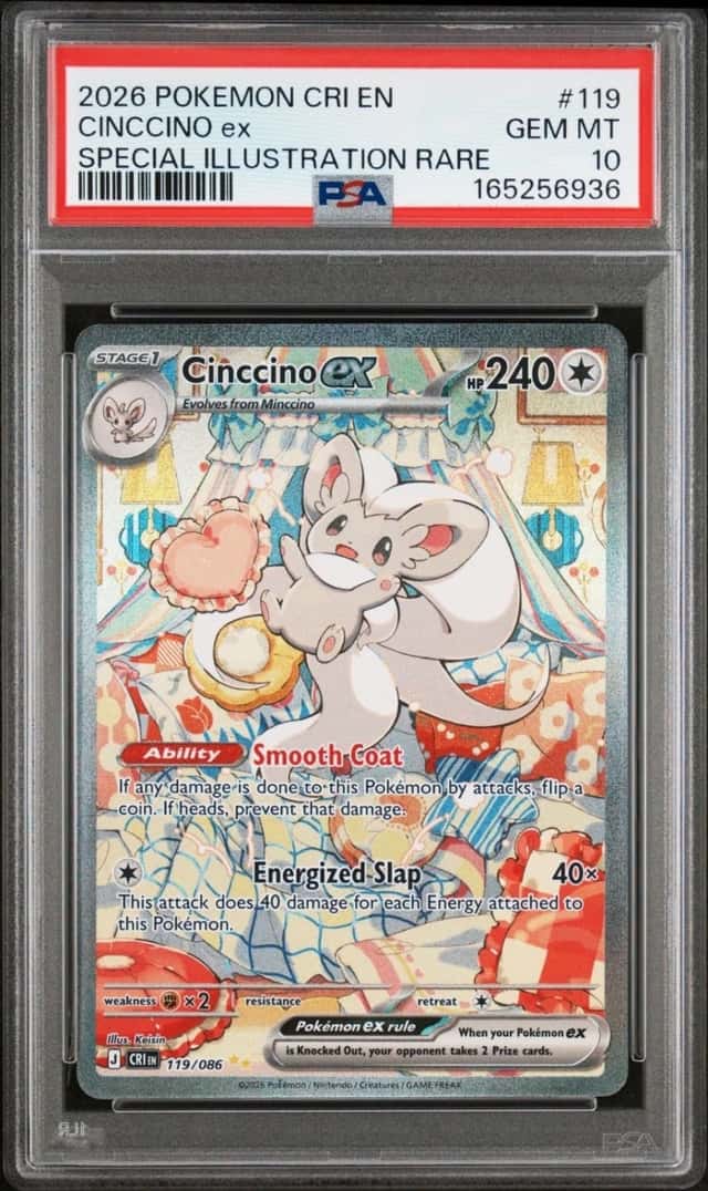 CINCCINO ex