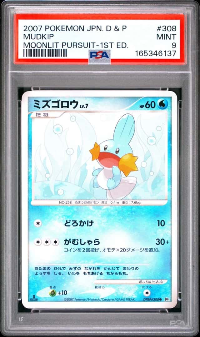Mudkip