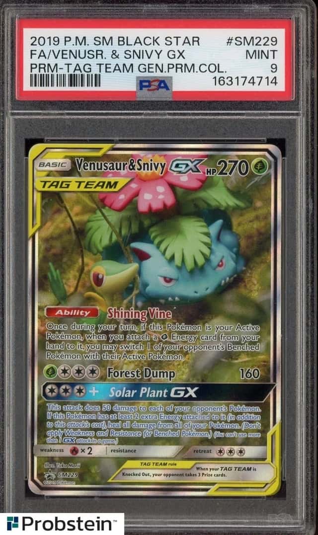 Venusaur & Snivy GX
