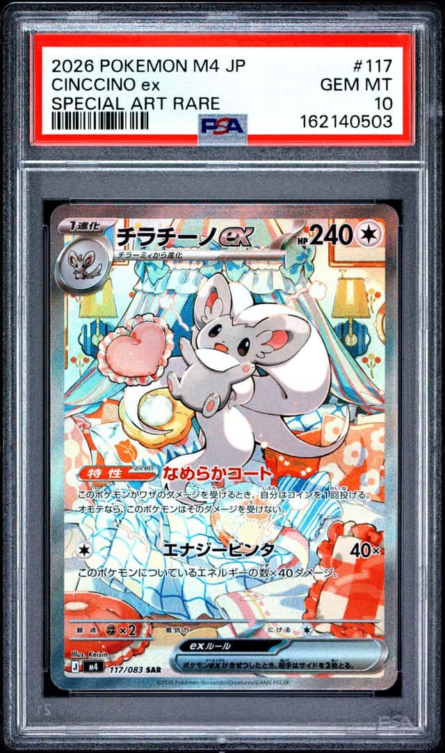 CINCCINO ex