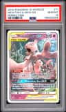 Mewtwo & Mew Gx