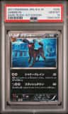 Umbreon