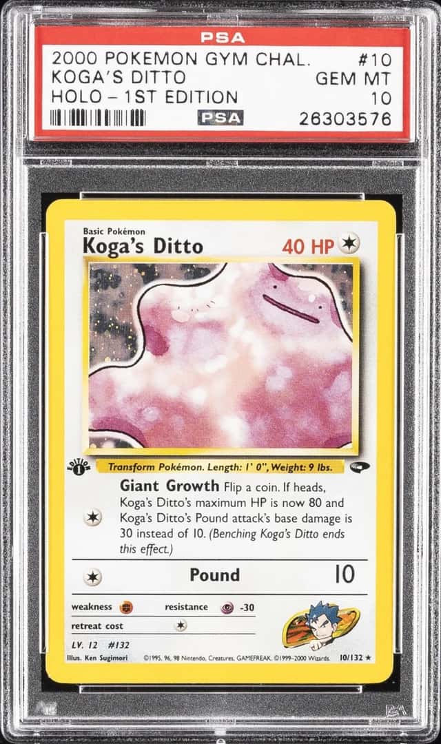 Koga's Ditto