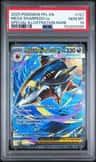 Mega Sharpedo Ex