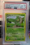 Tropius