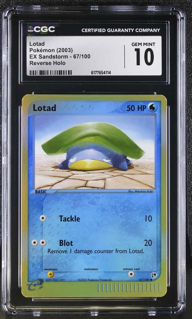 Lotad
