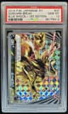 Zoroark Break