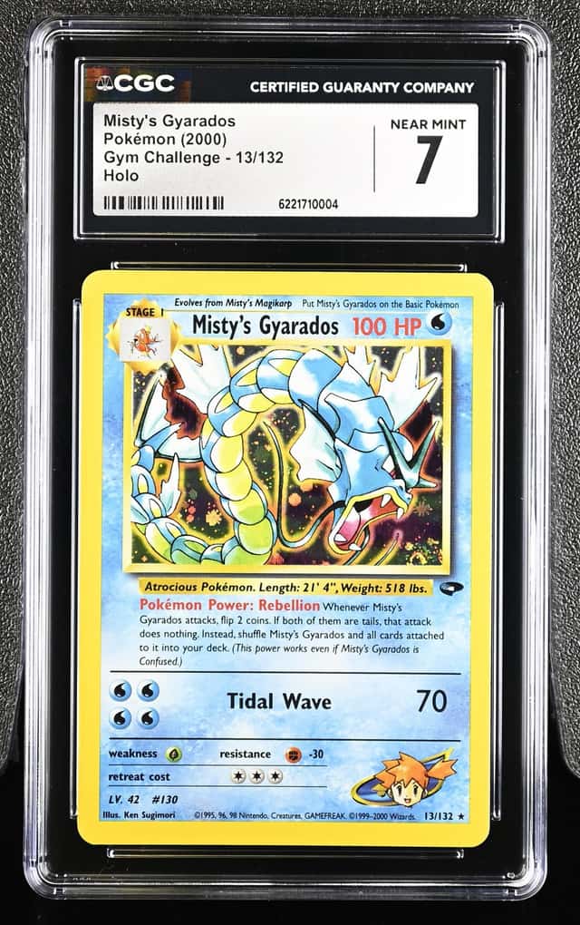 Misty's Gyarados