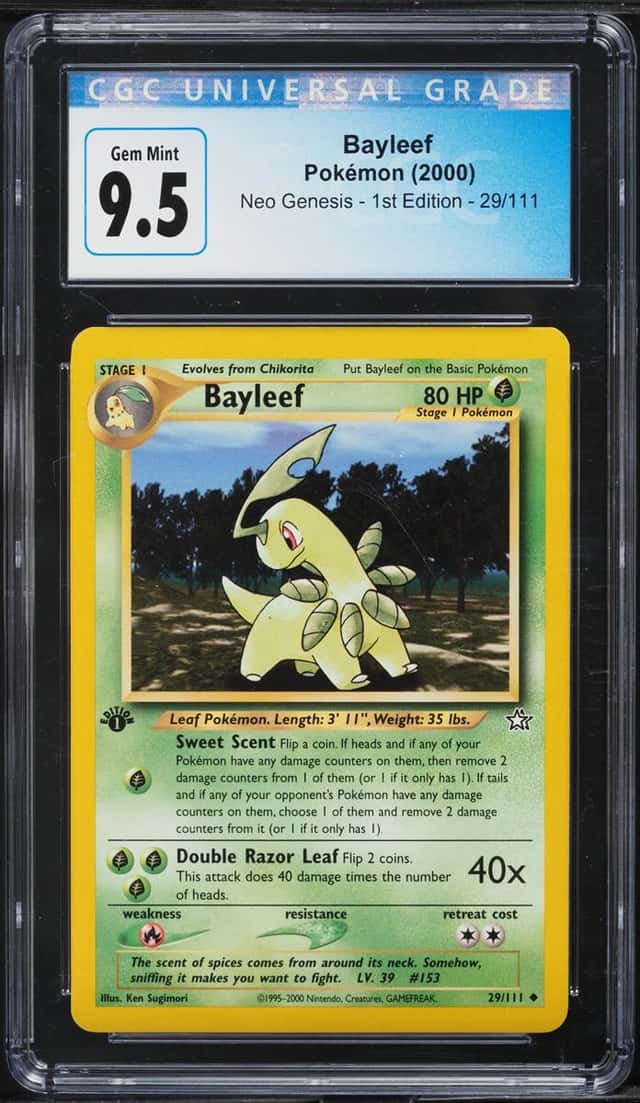 Bayleef