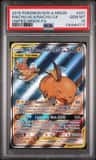 Raichu & Alolan Raichu Gx
