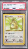 Kangaskhan