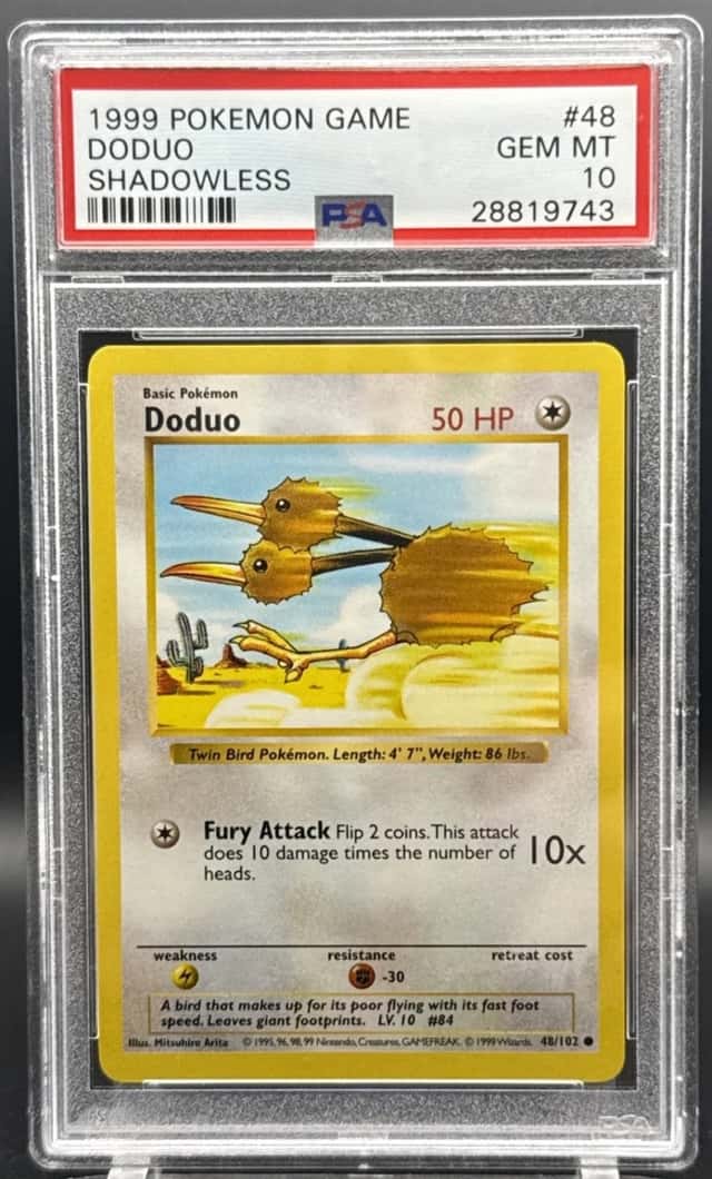 Doduo