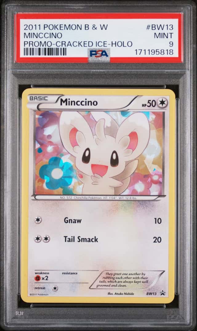 Minccino