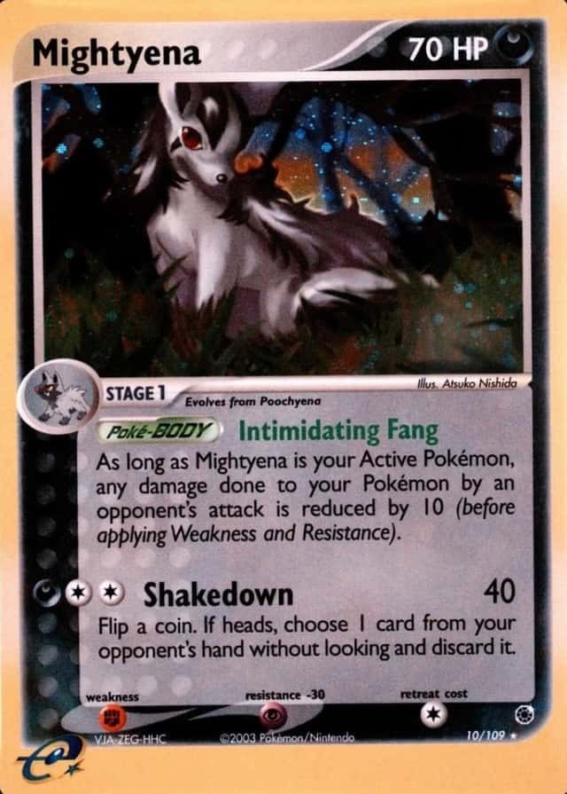 Holo
