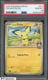 Ethan'S Pichu