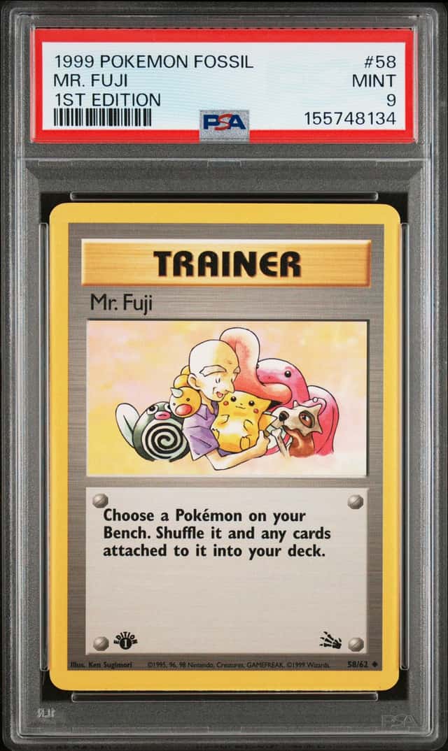 Mr. Fuji
