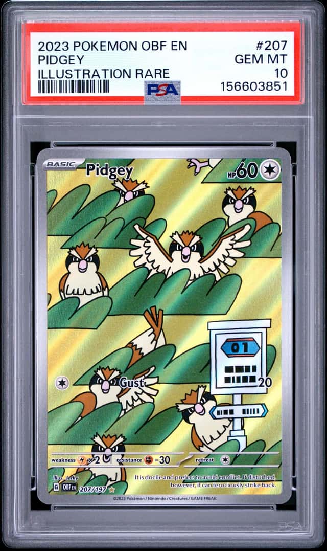 Pidgey