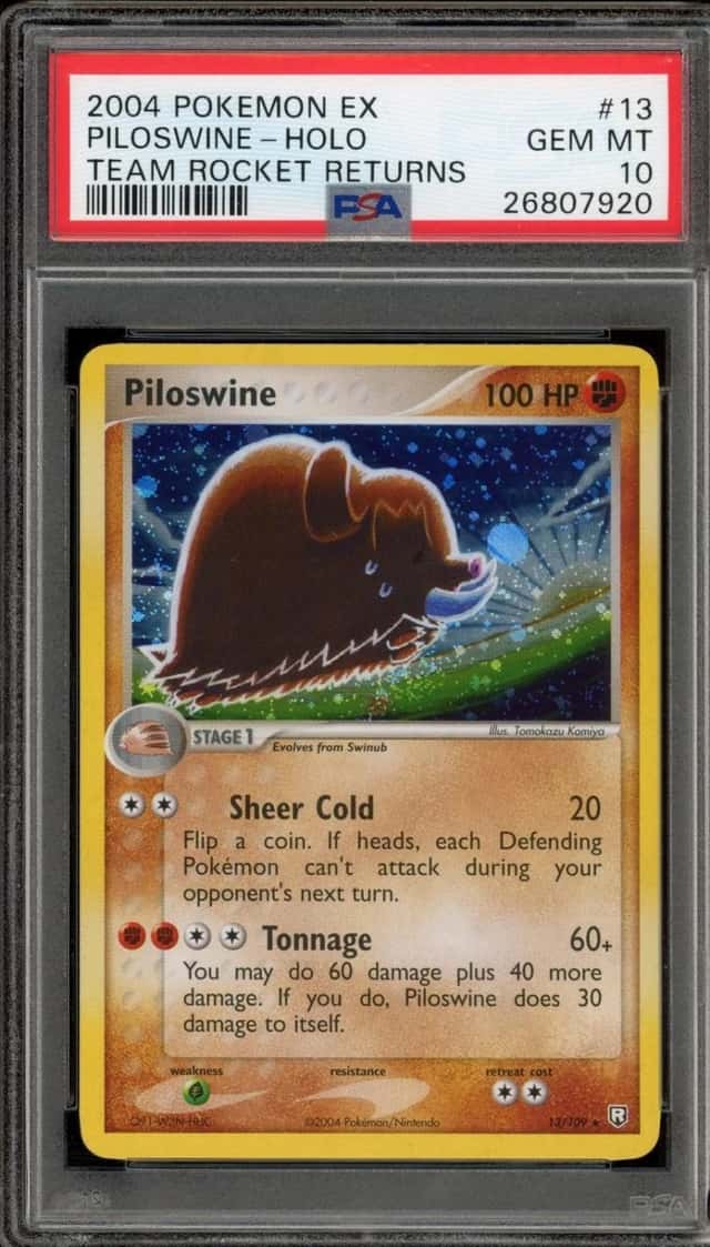 Piloswine