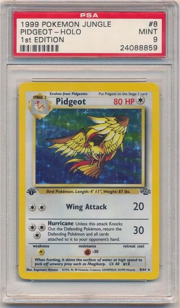 Pidgeot