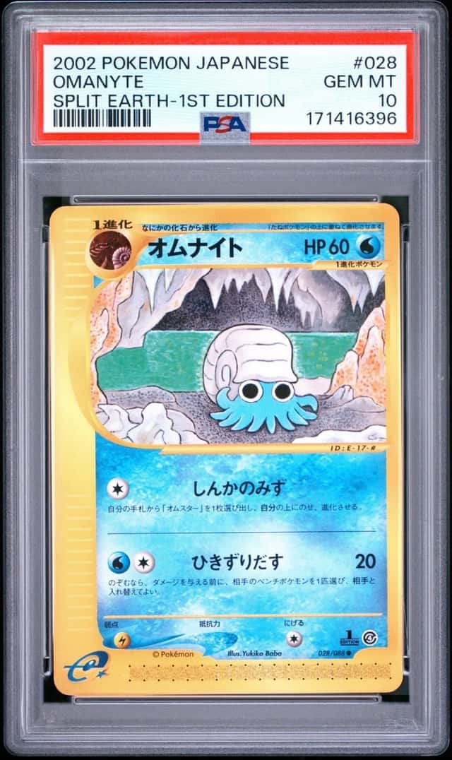 Omanyte