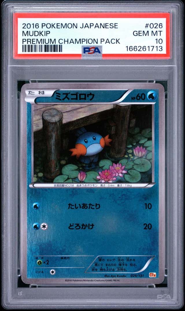 Mudkip