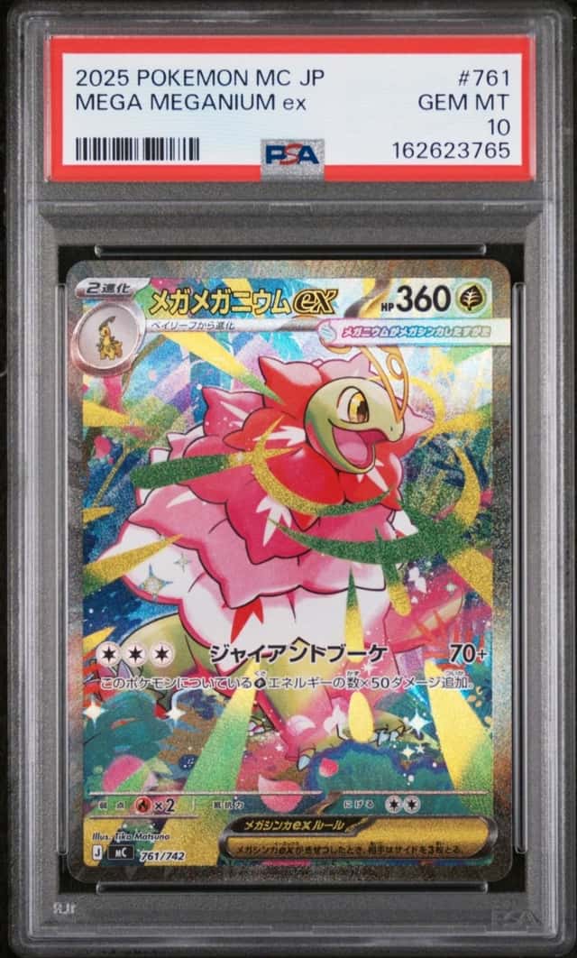 MEGA MEGANIUM ex