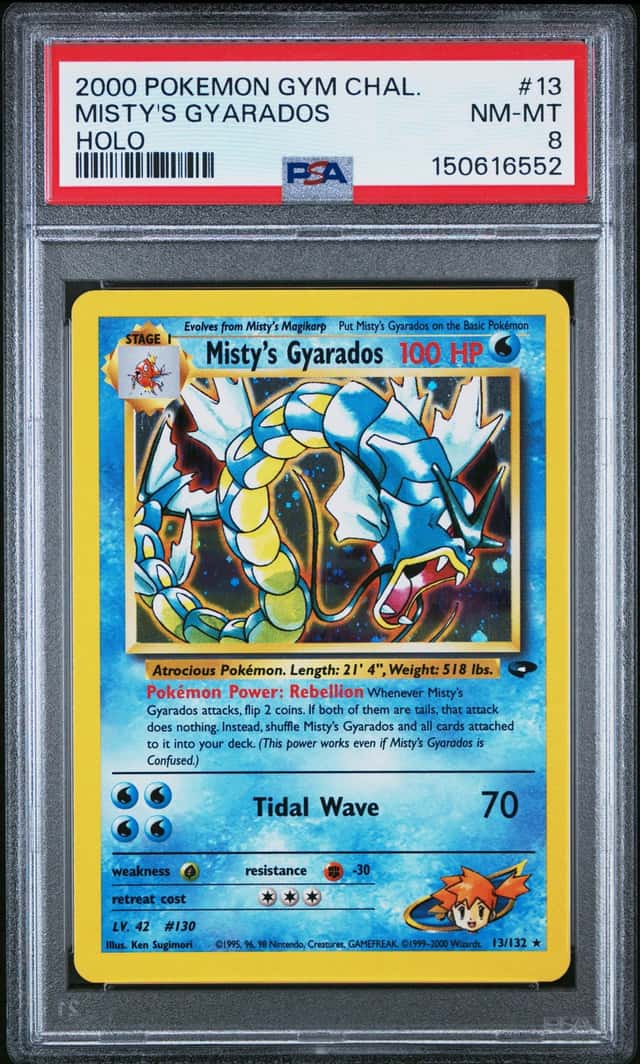 Misty's Gyarados