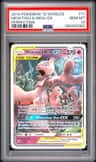 Mewtwo & Mew Gx