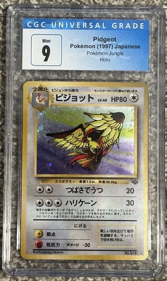 Pidgeot