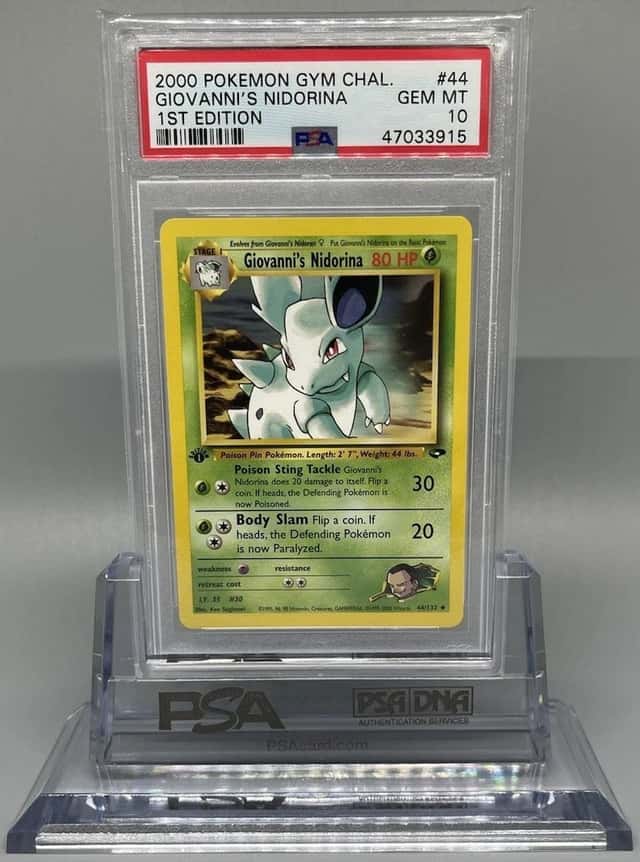 Giovanni's Nidorina