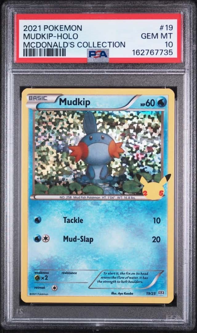 Mudkip