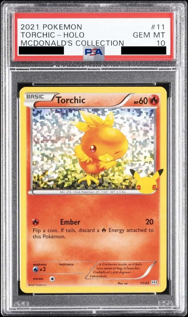 Torchic