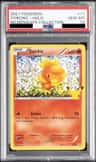 Torchic