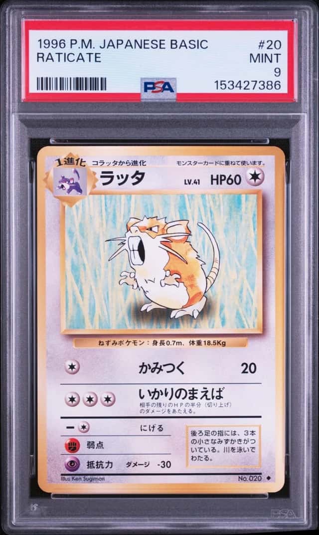Raticate
