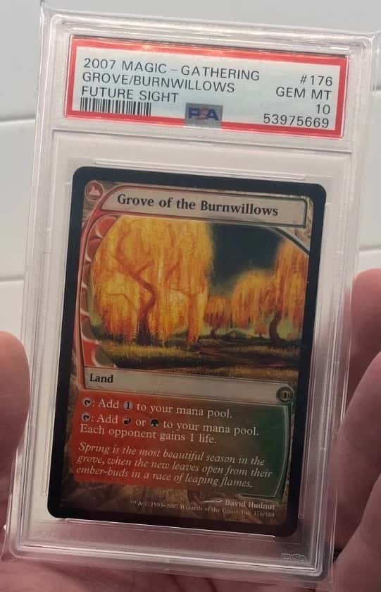 Grove of the Burnwillows