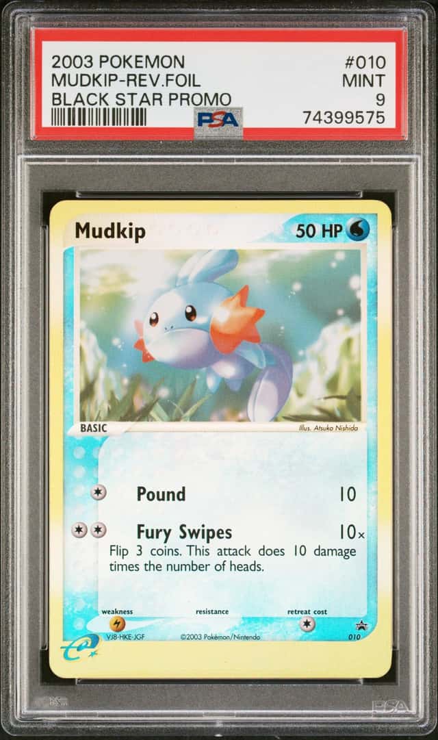 Mudkip