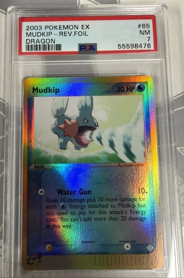 Mudkip