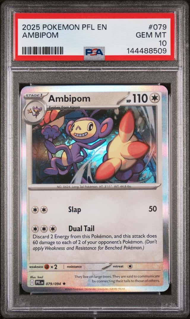 Ambipom