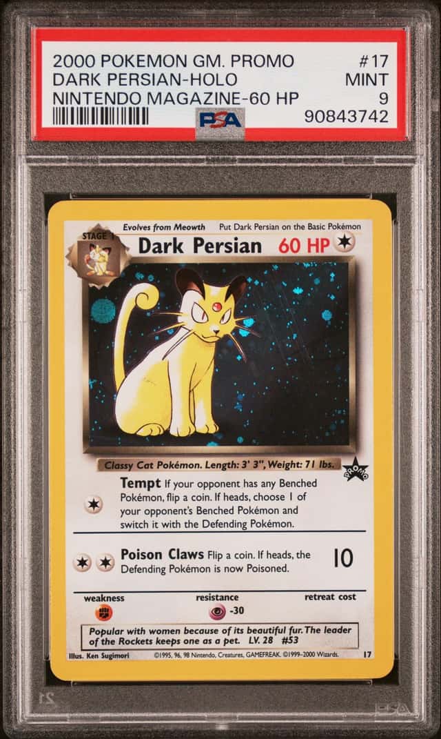 Dark Persian